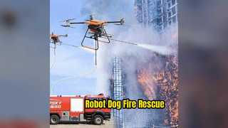 Chien robot pour les missions de sauvetage en cas d'incendie
